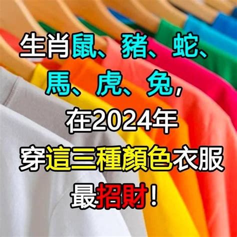 屬豬適合什麼顏色|2024年屬豬穿什麼顏色？紫色深藍旺全年 